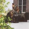 2005- James Homes / Outdoor  Bronze